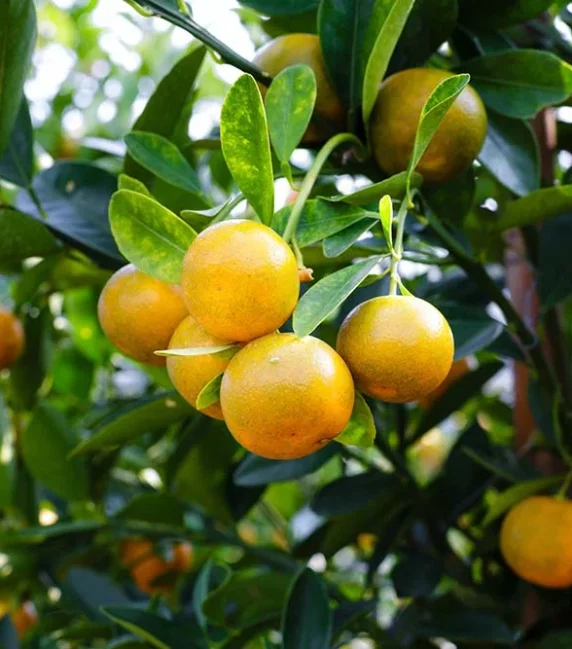 port-img-5 port-img-5