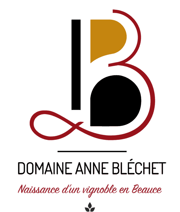 Anne Bléchet